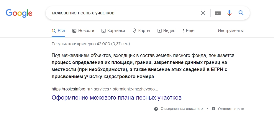 Пример специальной выдачи Google Рослесинфорг